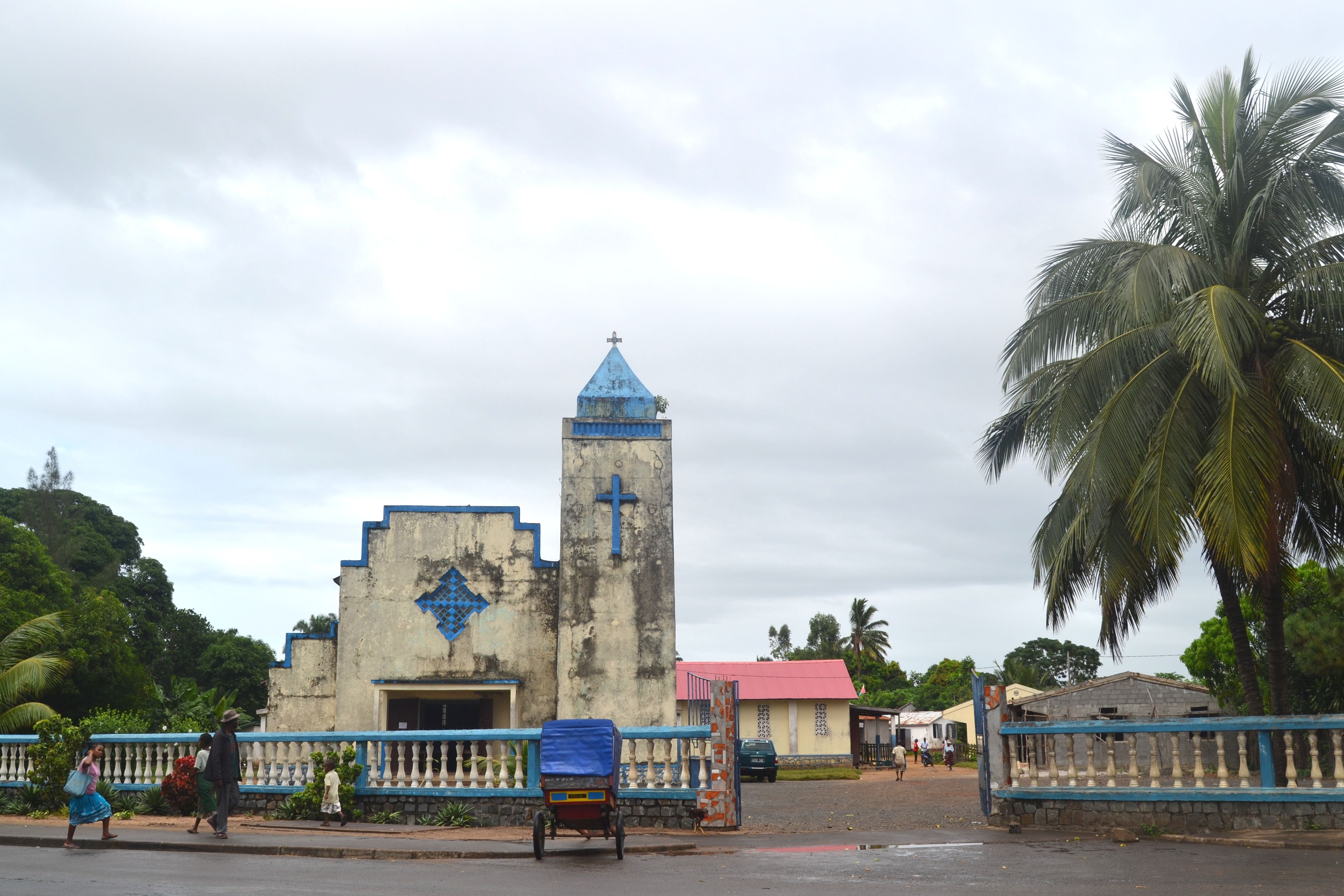 SALFA MANAKARA